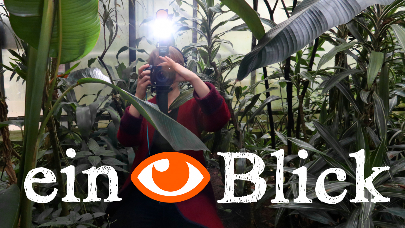 einBlick #7 – Vom Studium in die Forschung Beitragsbild einBlick #7 – Vom Studium in die Forschung
