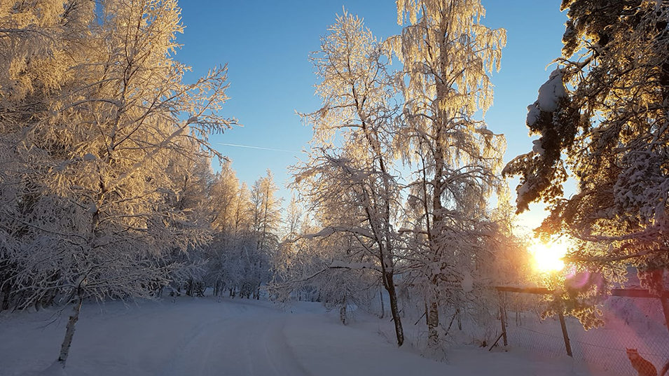  Beitragsbild Die Bedeutung des Songs “White Christmas”