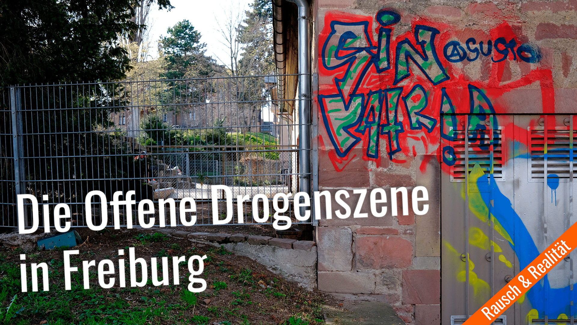 Rausch & Raus Beitragsbild Rausch & Raus