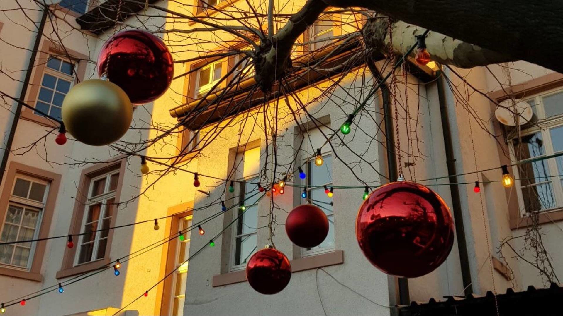 Weihnachtsstimmung – drei, zwei, eins,…! Beitragsbild Weihnachtsstimmung – drei, zwei, eins,…!