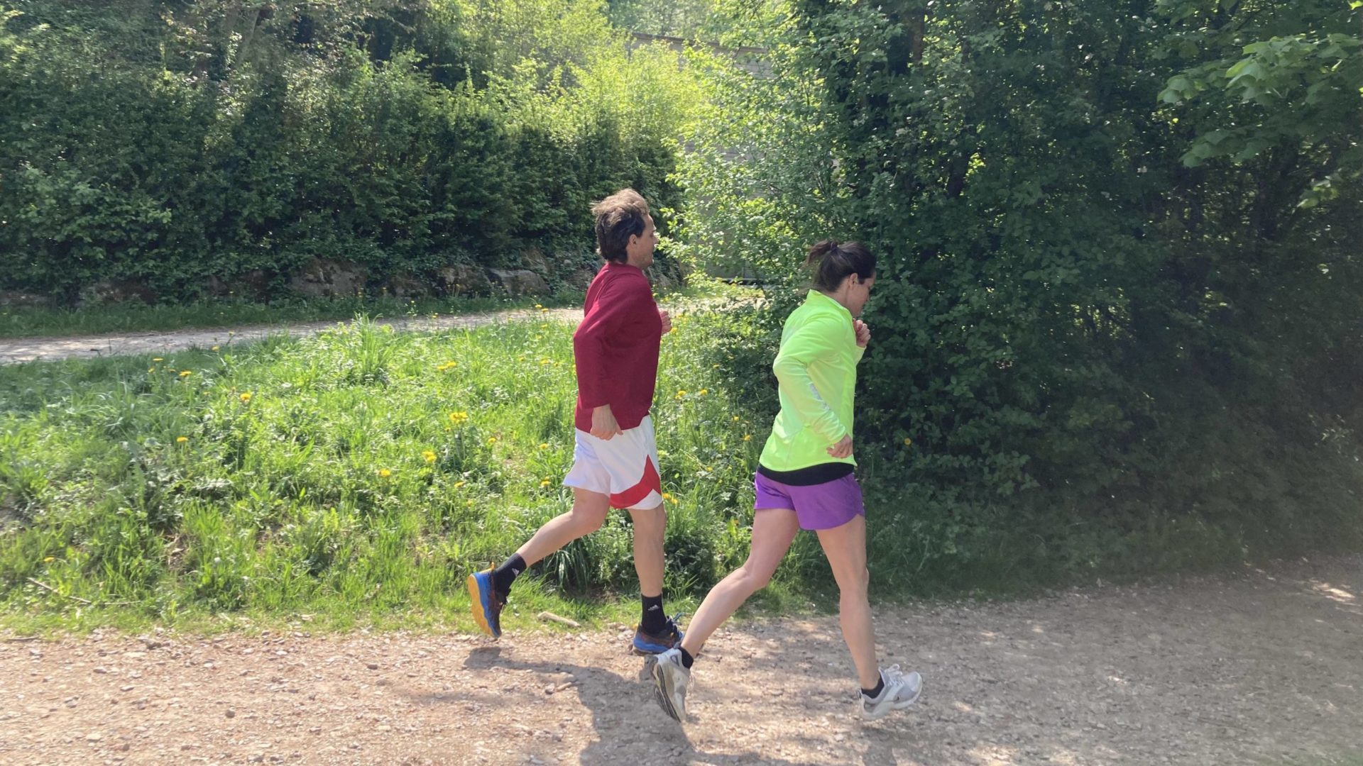 Laufend den Regenwald retten Beitragsbild Laufend den Regenwald retten