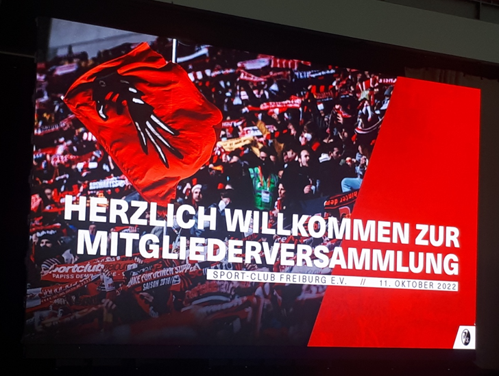  Beitragsbild „Die Zeichen beim SC Freiburg stehen auf Wachstum“