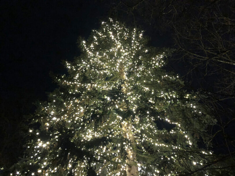 Was bedeutet Weihnachten für dich? Beitragsbild Was bedeutet Weihnachten für dich?