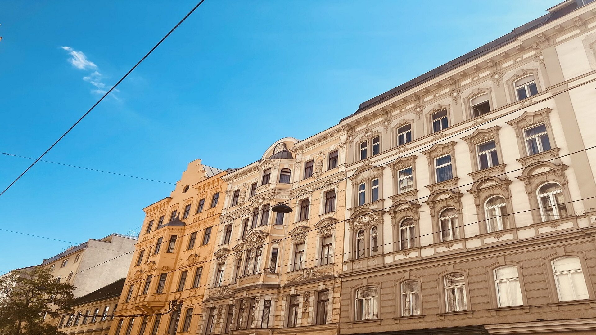 Ein halbes Jahr Wien Beitragsbild Ein halbes Jahr Wien