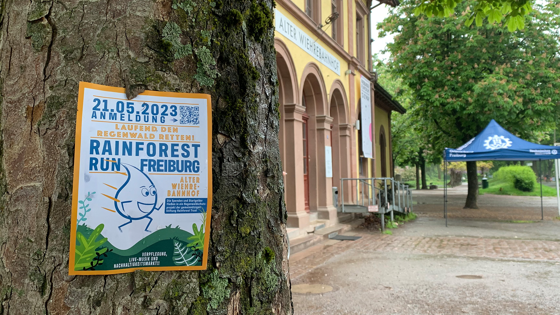 Mit Sport den Regenwald retten Beitragsbild Mit Sport den Regenwald retten