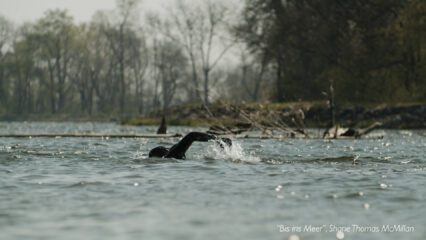 Plastikmüll: Schwimmen für sauberes Wasser