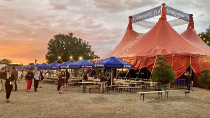 ZMF Konzertbericht Angélique Kidjo